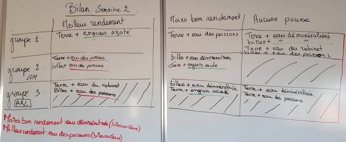 Bilan